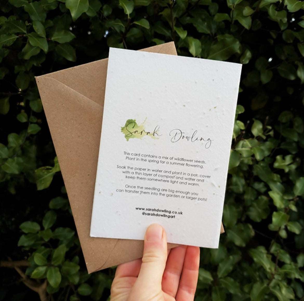 Wren Wildflower Seed Card