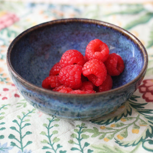 Blue Nibble Bowl