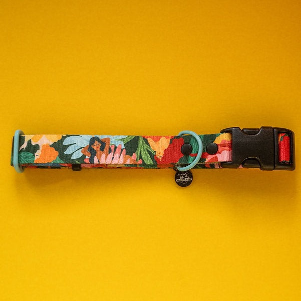 Loud and Proud Dog Collar