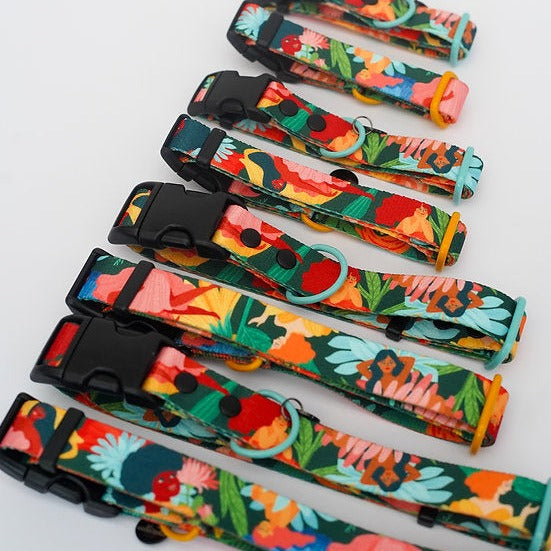Loud and Proud Dog Collar